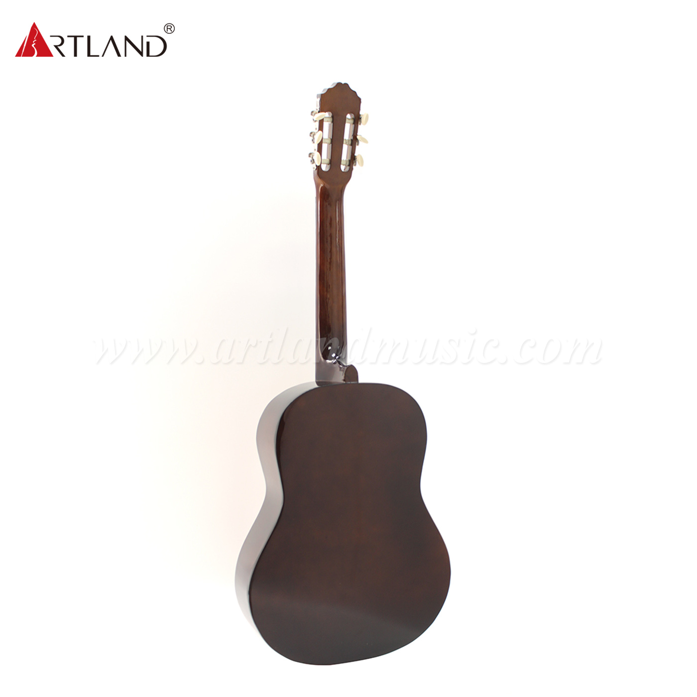 Guitarra Clásica Linden Top Back&Side (CG851)