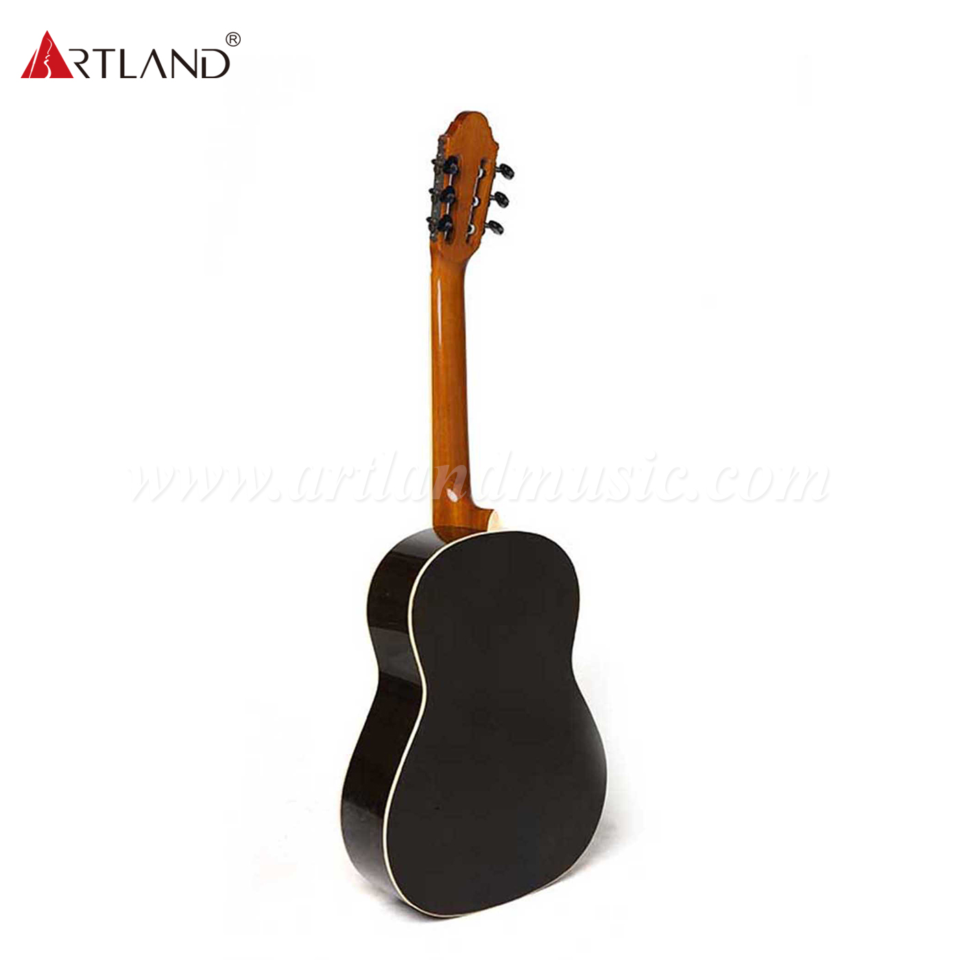 Spruce Solid Top Rosewood Back&Side Guitarra clásica (CG988)