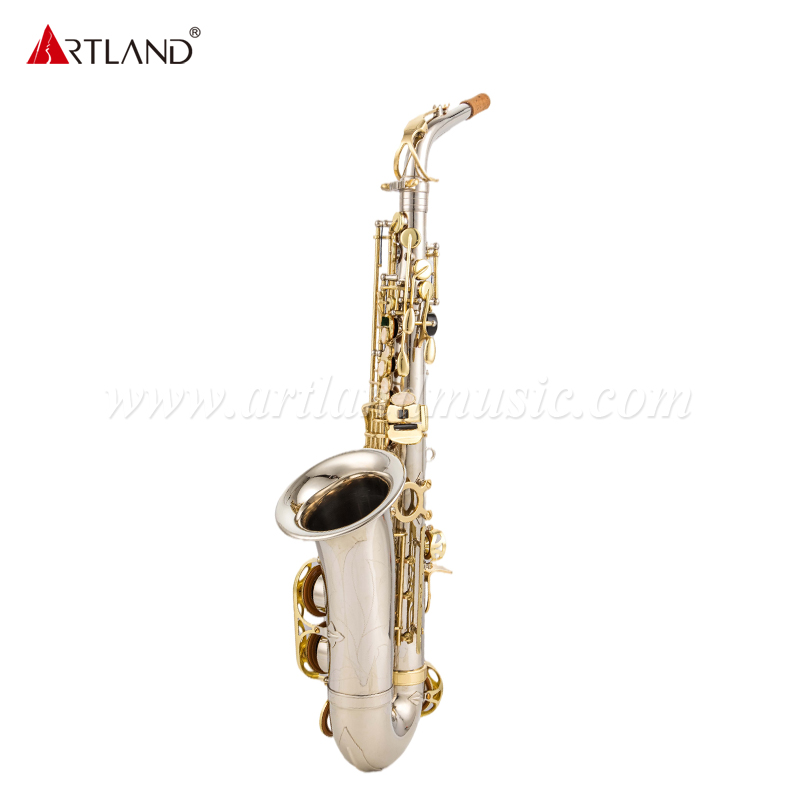 Saxofón alto con acabado de níquel y llave dorada (AAS5505NL)