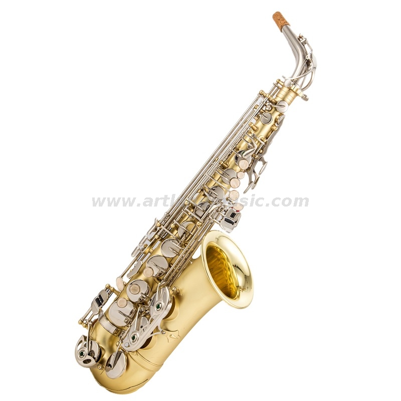 Eb Alto Saxofon Matt Gold Lacquer Hand Body con llave de níquel (AAS5505GN)