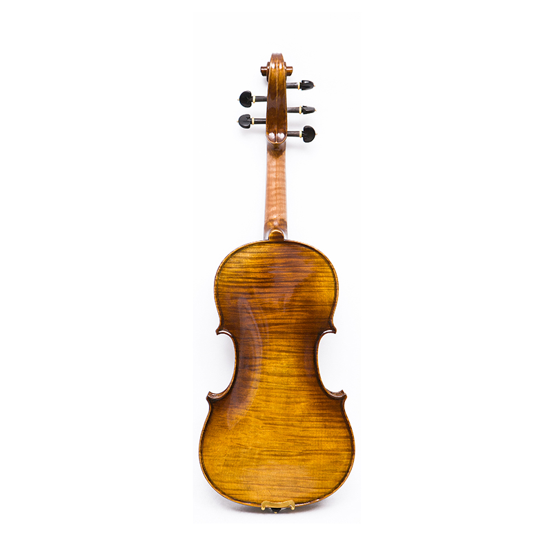 Violín de 5 cuerdas con fondo de arce de una pieza (AVA1005S)